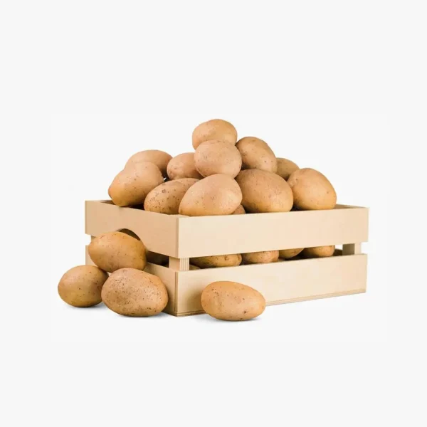 سیب زمینی میوری