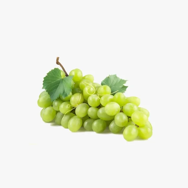 میوه تازه قشم
