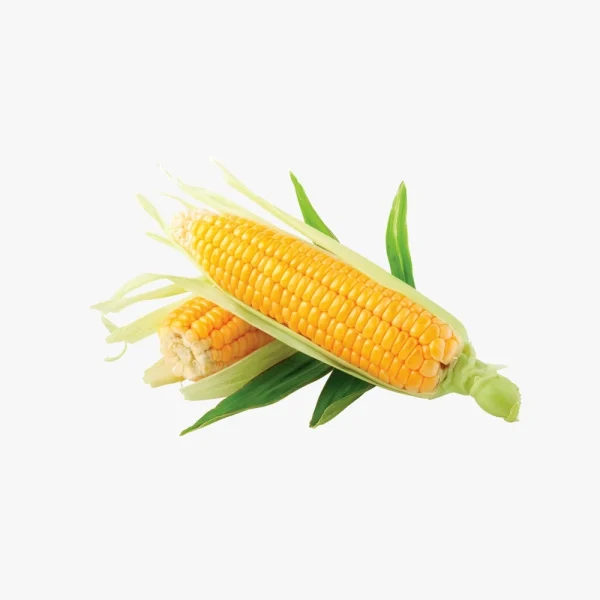 ذرت مکزیکی مینو